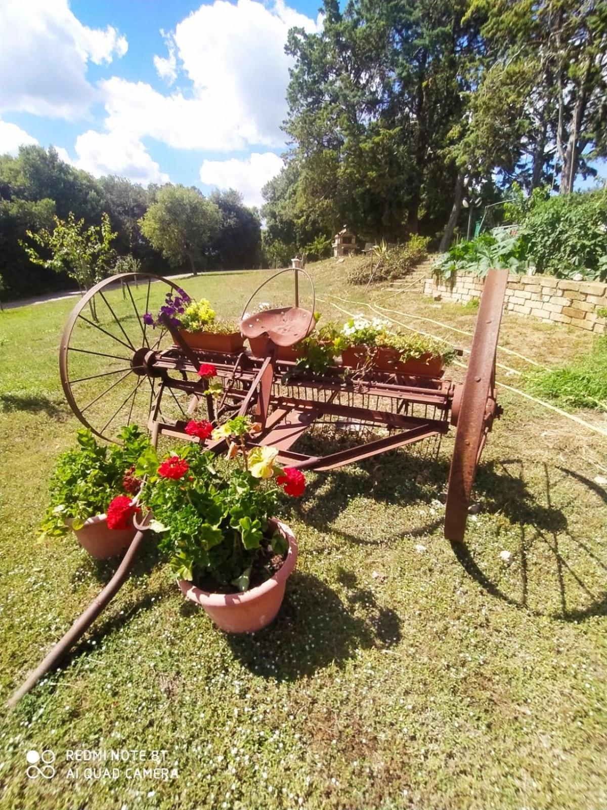 Agriturismo L'Alba Роккастрада Екстер'єр фото
